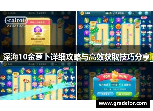深海10金萝卜详细攻略与高效获取技巧分享