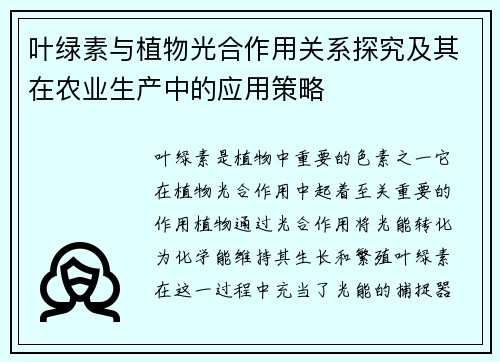 叶绿素与植物光合作用关系探究及其在农业生产中的应用策略